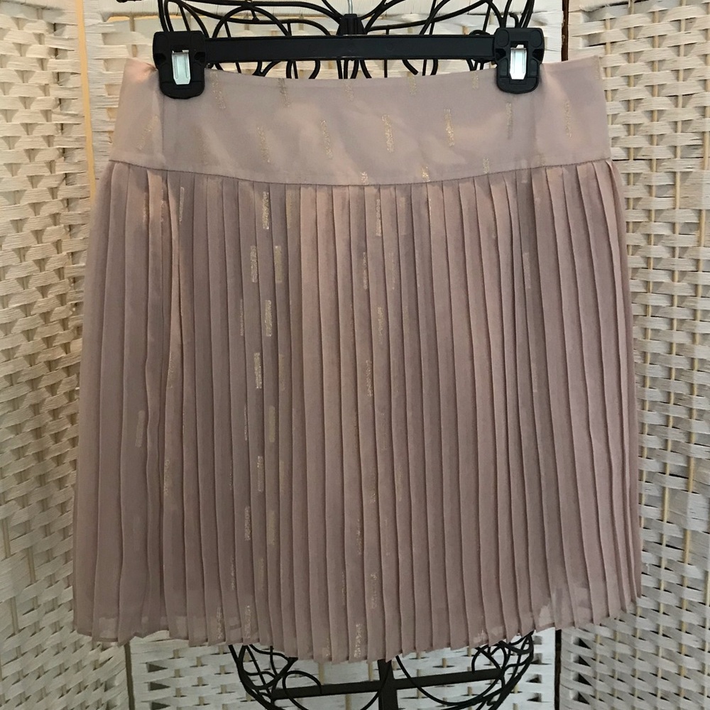 NWT Loft Skirt